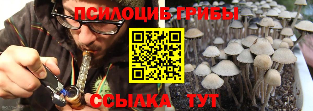 Псилоцибиновые грибы GOLDEN TEACHER Красноярск