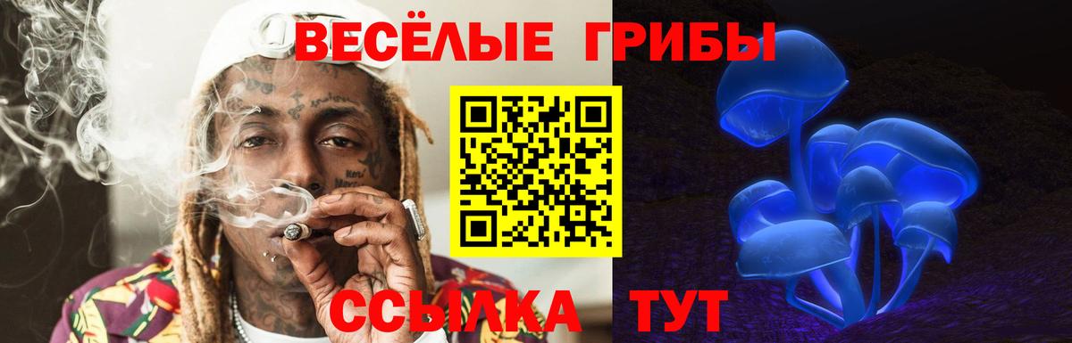 Псилоцибиновые грибы GOLDEN TEACHER  Вход с VPN  Красноярск  Псилоцибиновые грибы прущие грибы 